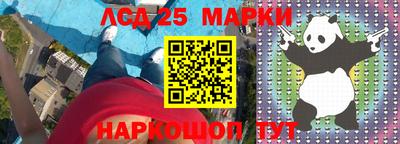 шишки Бердск
