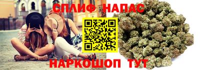 jwh Белореченск
