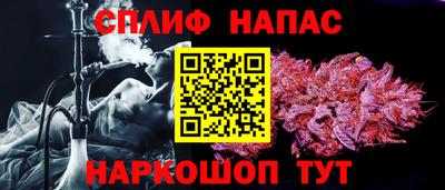 шишки Бердск