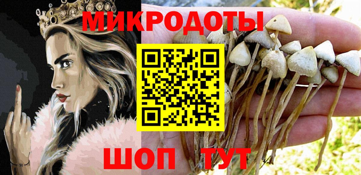Псилоцибиновые грибы Magic Shrooms Звенигород