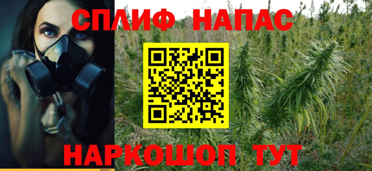 Каннабис план  МАРИХУАНА White Widow  Бошки Шишки Ganja  Вход с VPN  Звенигород 
